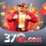 37q King - Free Download